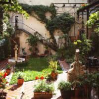 well designed backyard full sun with plants flowers