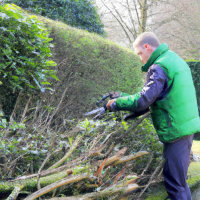 a beautiful photo of gardener pruning plants, 